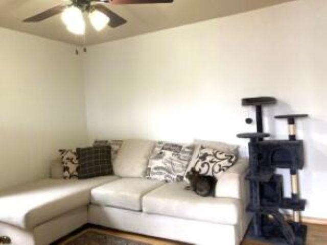 435 S Maple St - Photo 7