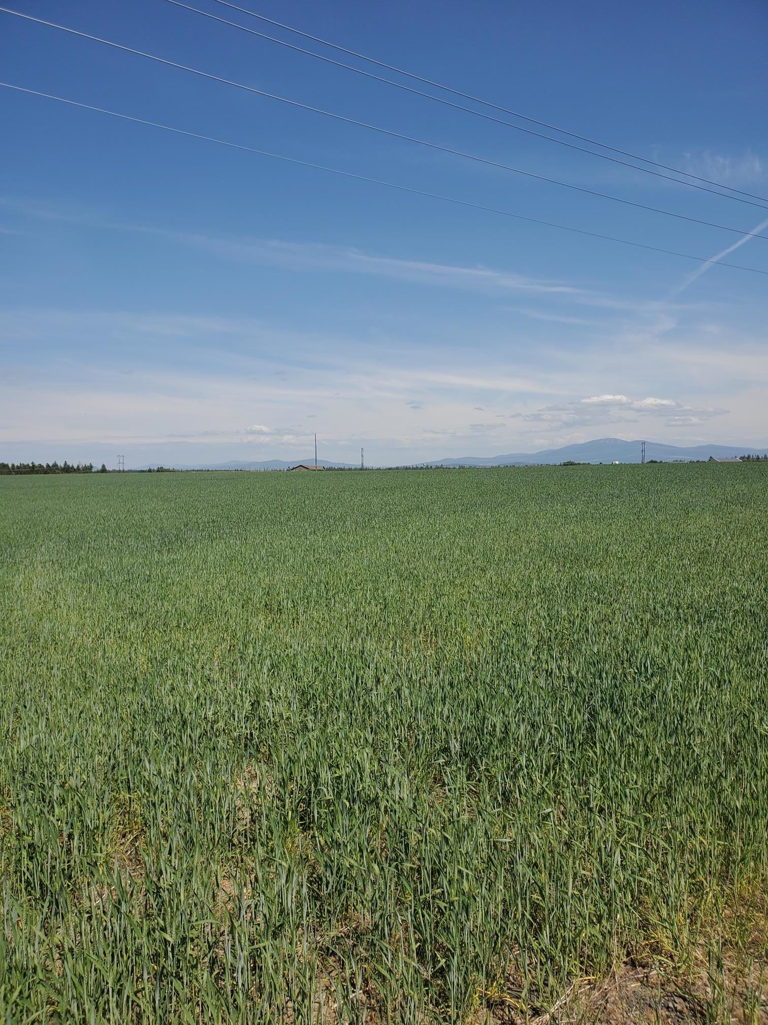 34XXX N Highway 395 Hwy - Photo 4