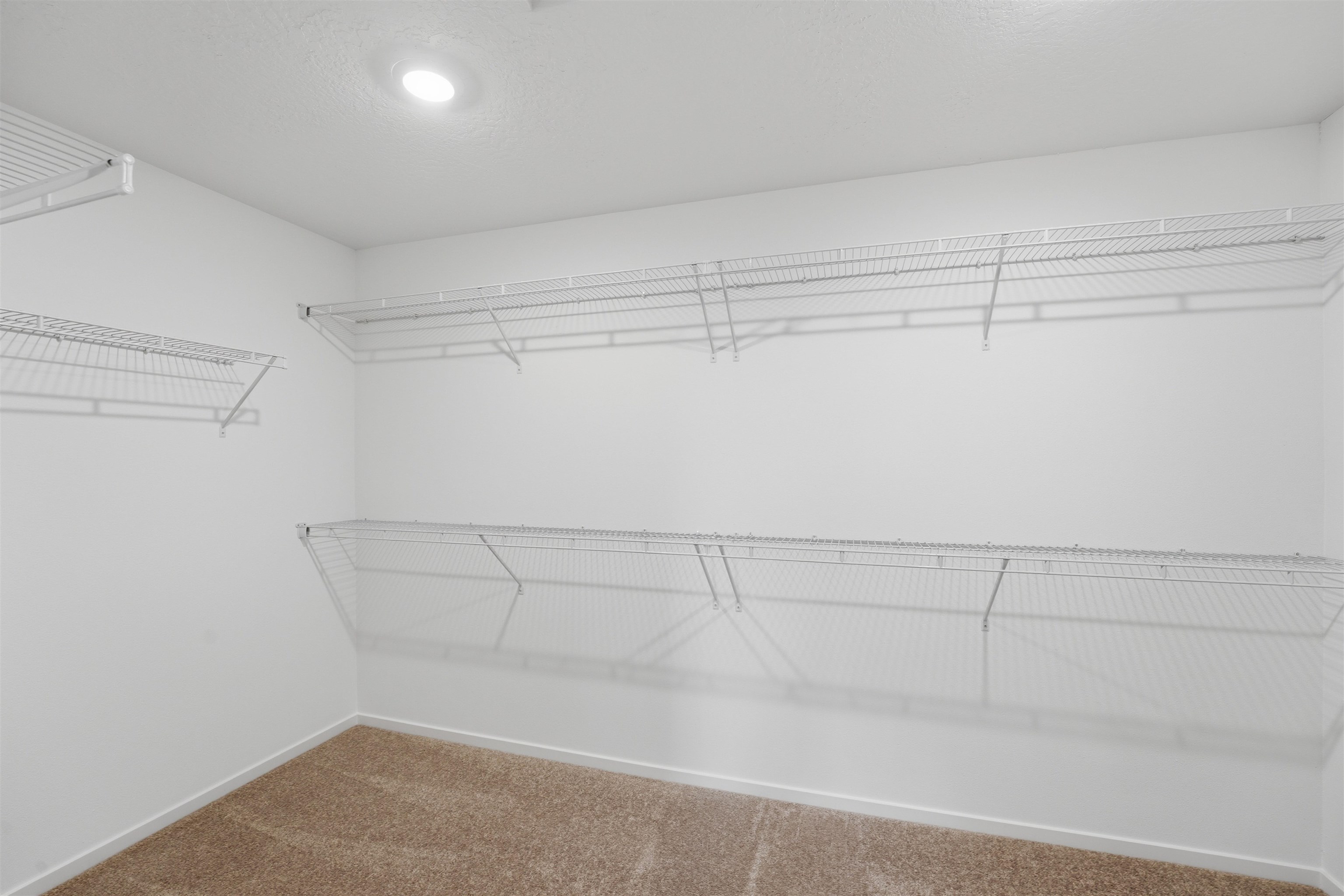 24614 E Short Tail Ln - Photo 12