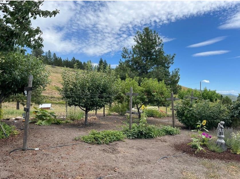717 Conrad Hill Way - Photo 34