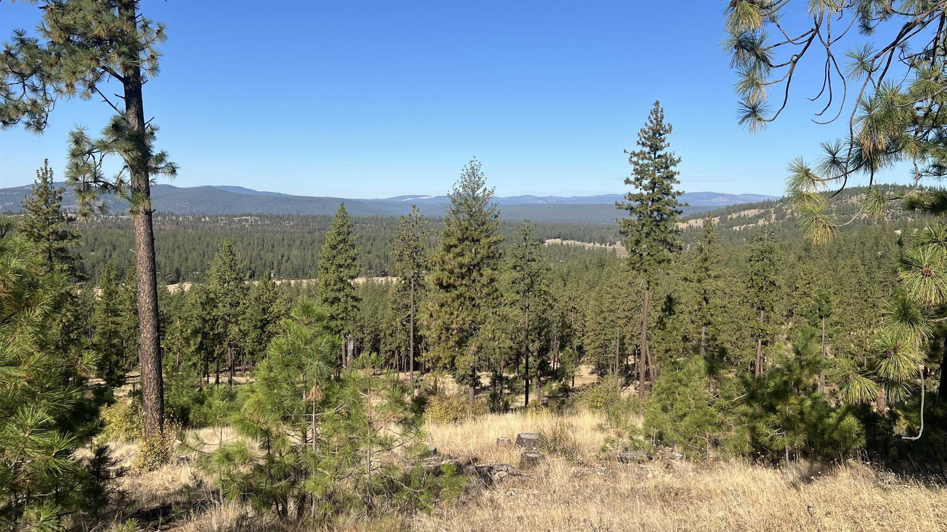 NNA Corkscrew Canyon Rd - Photo 1