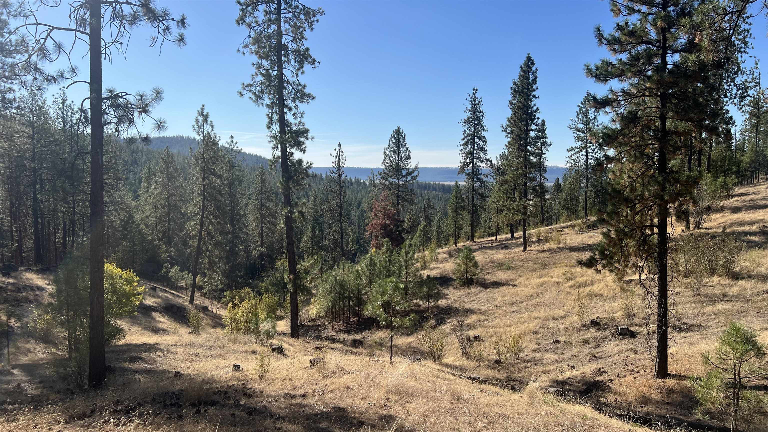 NNA Corkscrew Canyon Rd - Photo 2