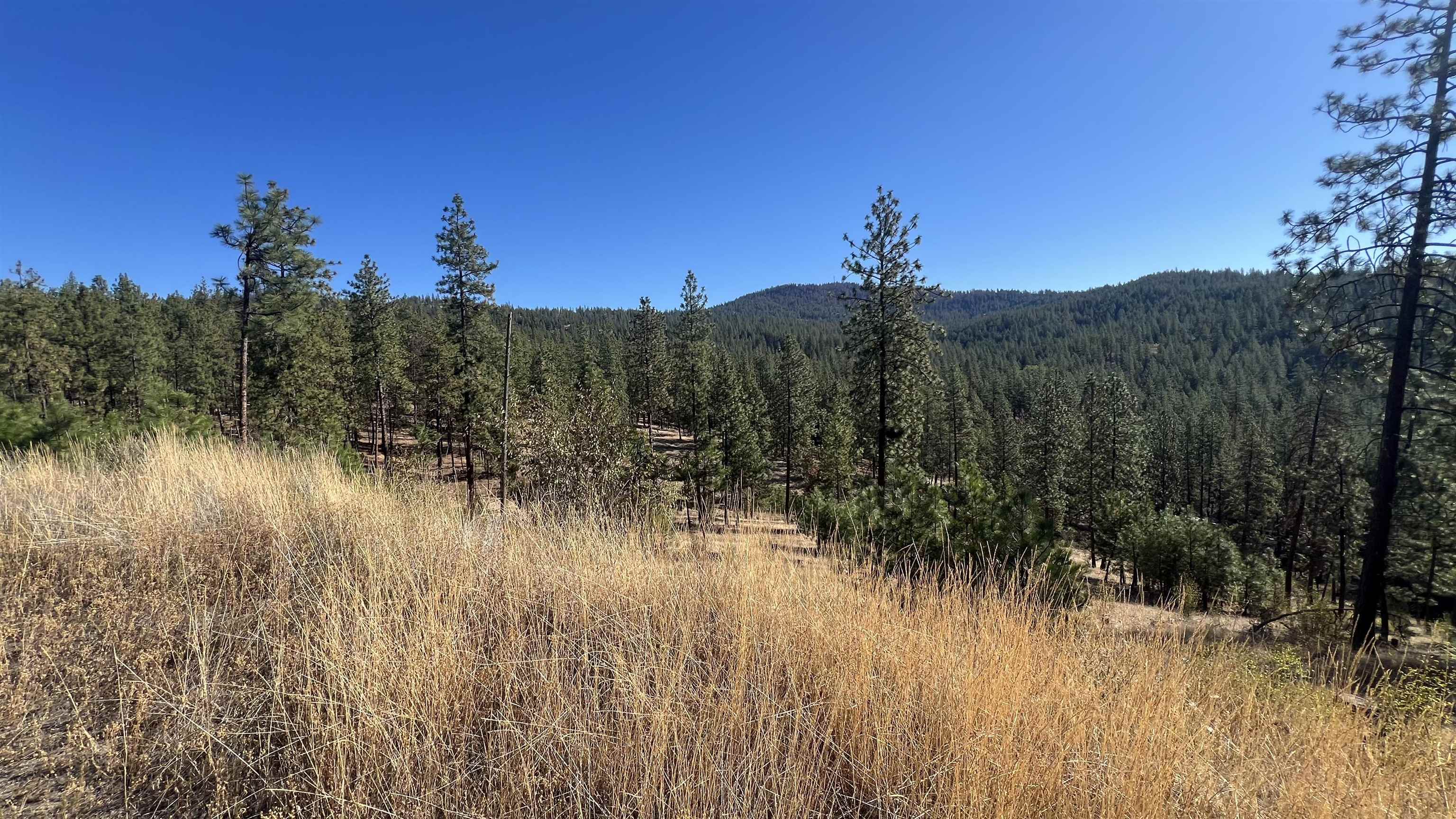 NNA Corkscrew Canyon Rd - Photo 11