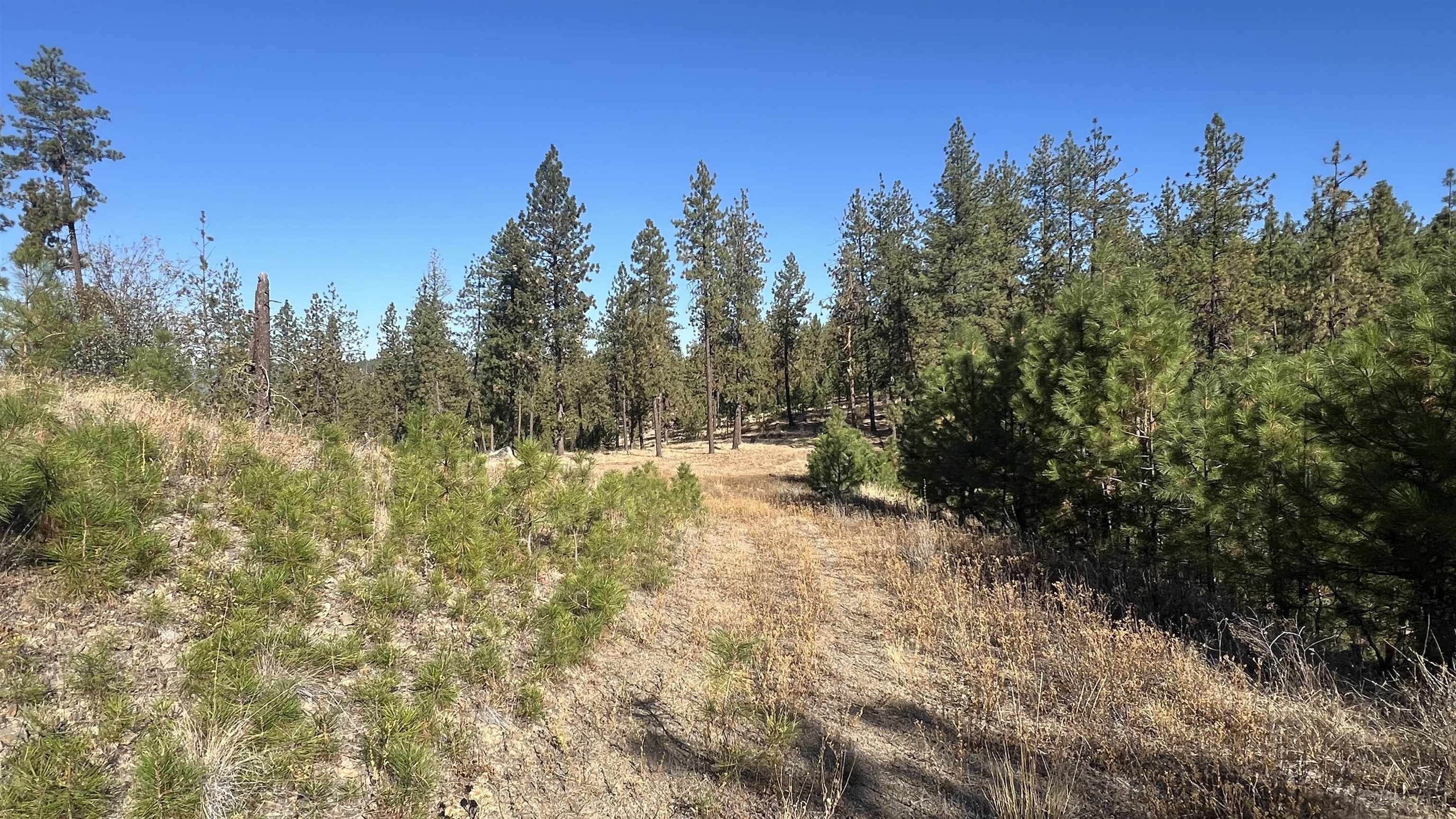 NNA Corkscrew Canyon Rd - Photo 12