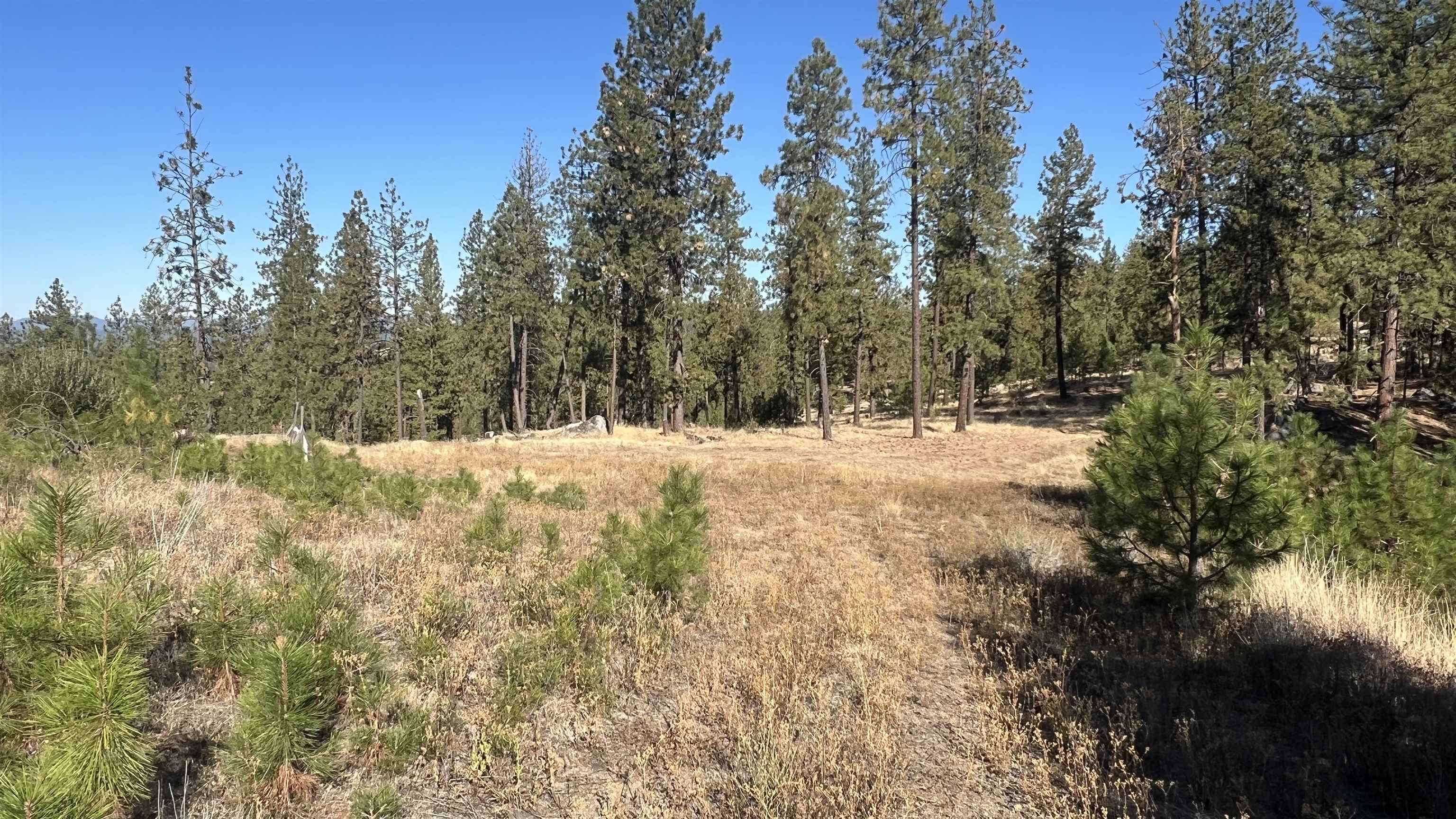 NNA Corkscrew Canyon Rd - Photo 13