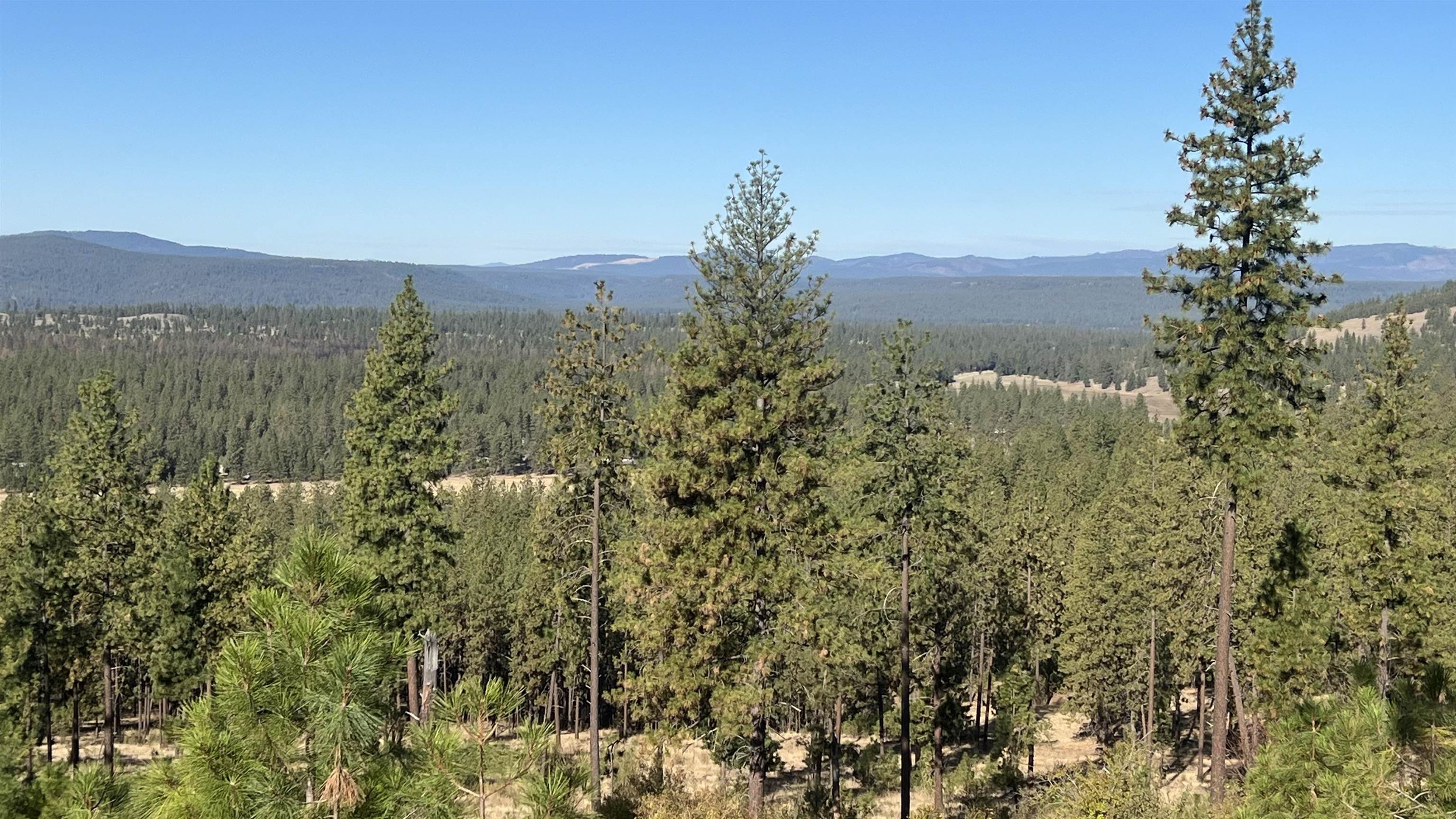 NNA Corkscrew Canyon Rd - Photo 14