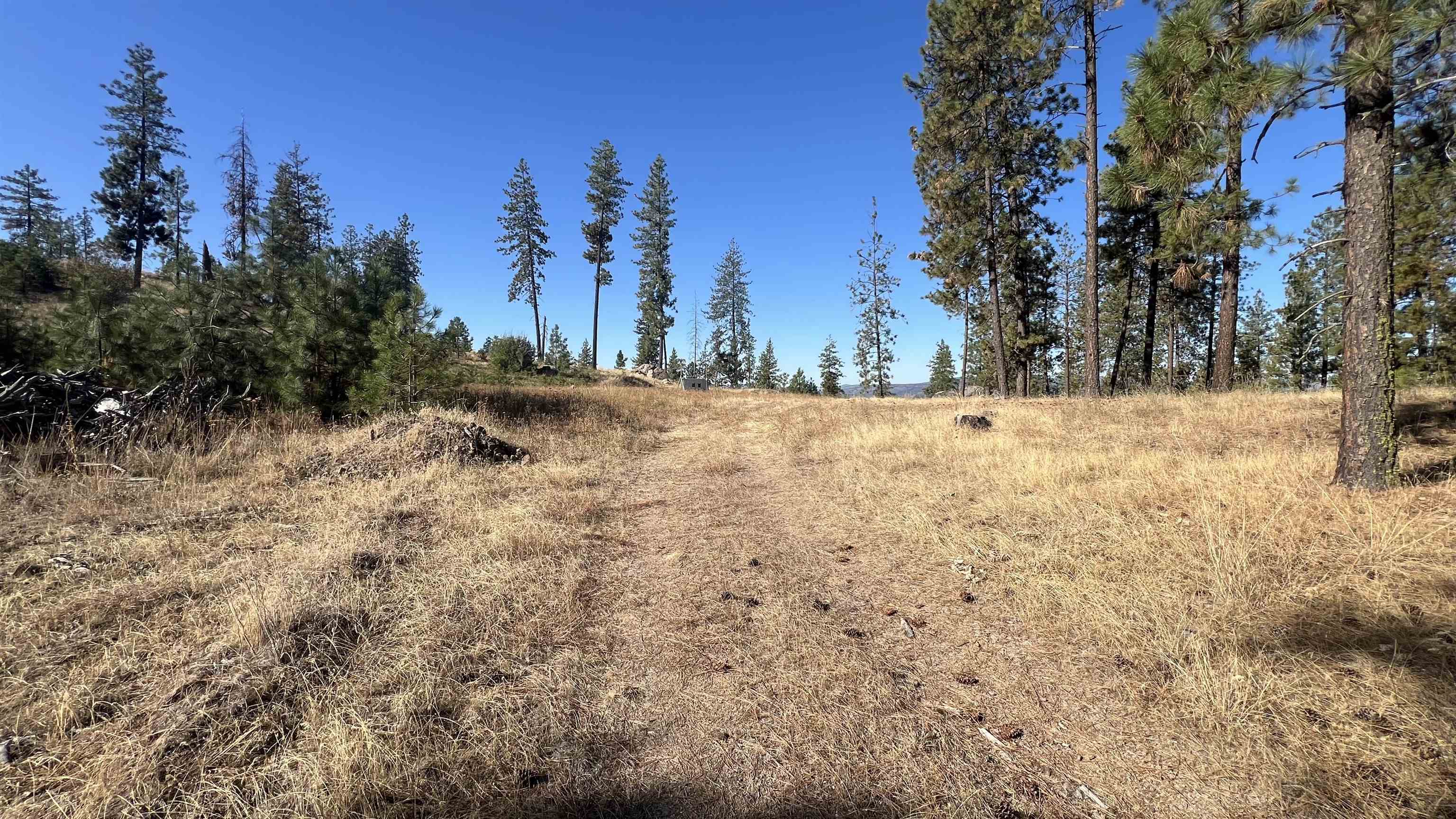 NNA Corkscrew Canyon Rd - Photo 15