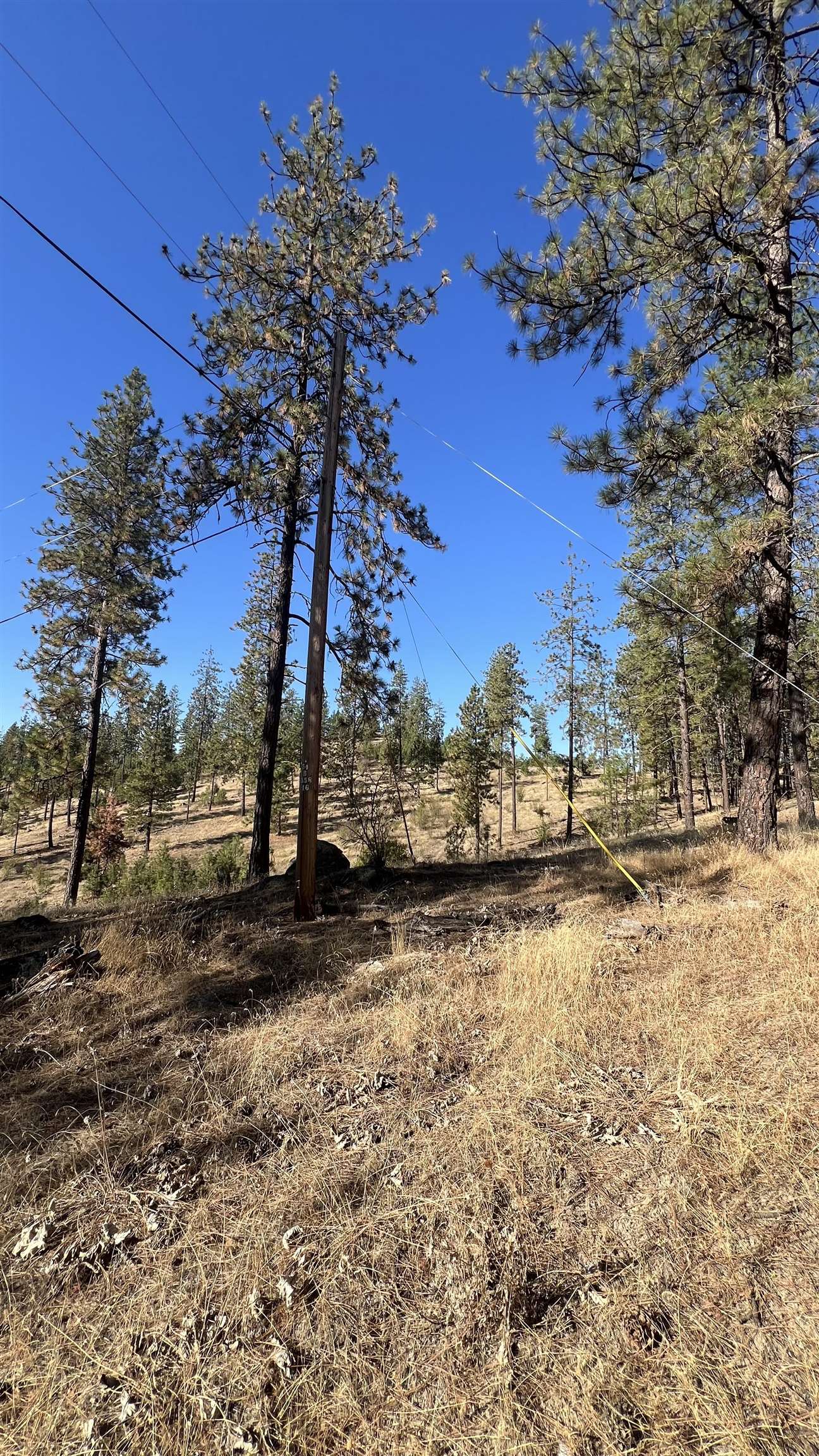 NNA Corkscrew Canyon Rd - Photo 16