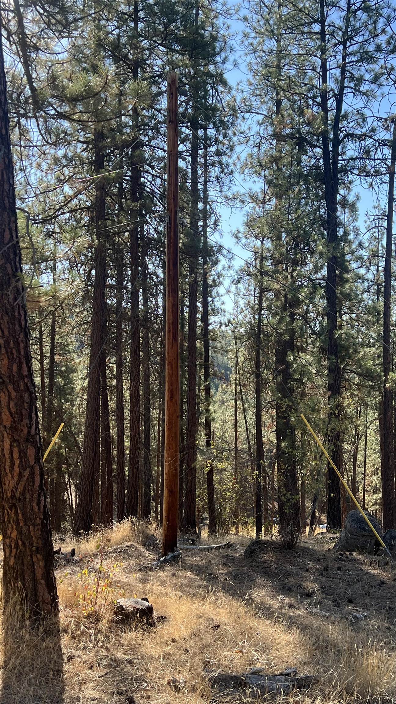 NNA Corkscrew Canyon Rd - Photo 17