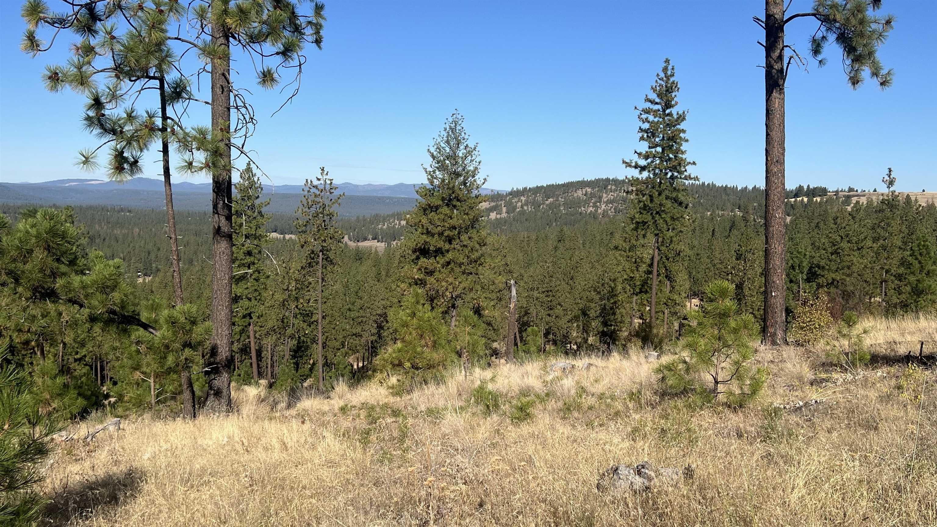 NNA Corkscrew Canyon Rd - Photo 3