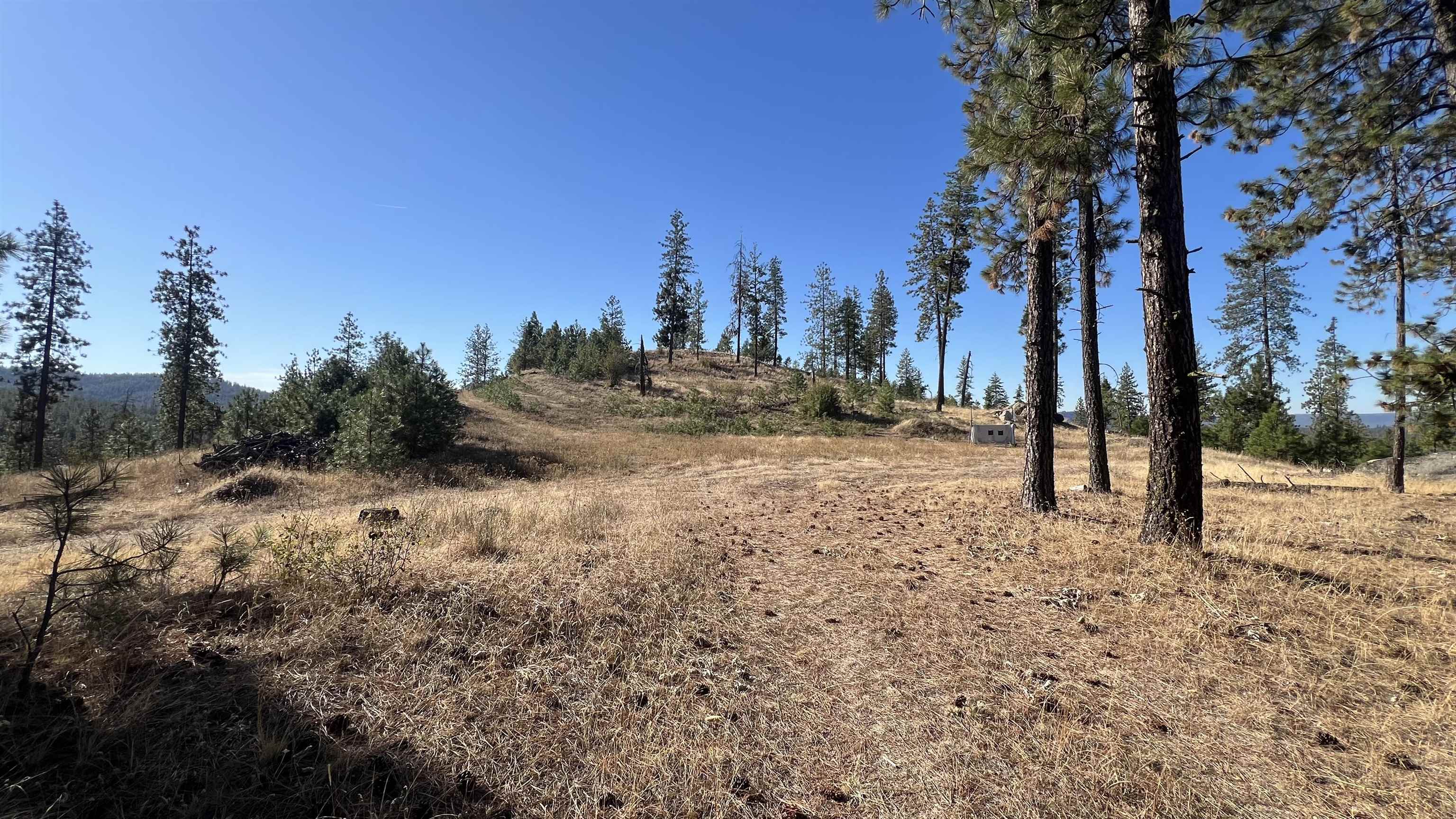 NNA Corkscrew Canyon Rd - Photo 4