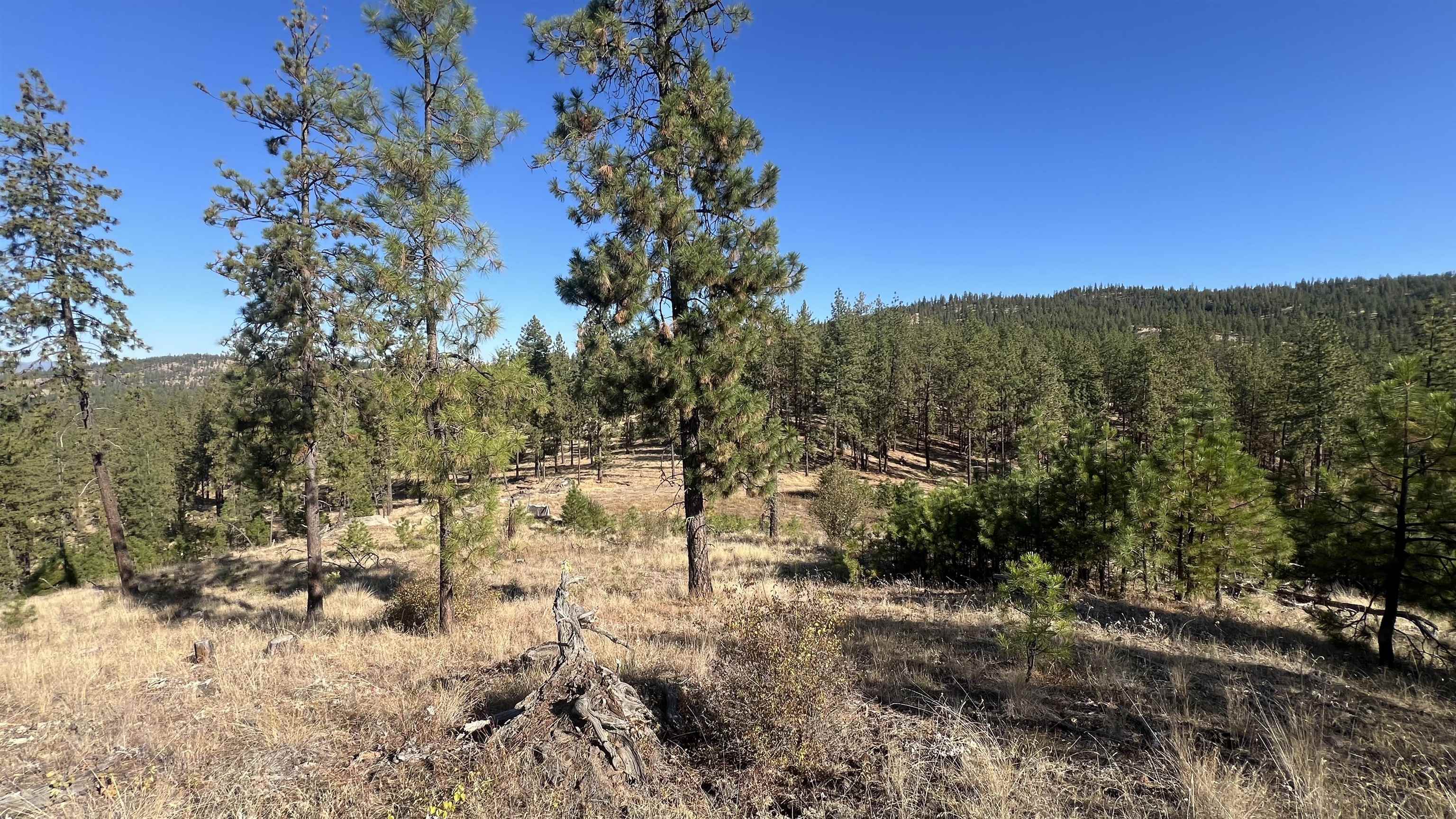 NNA Corkscrew Canyon Rd - Photo 5