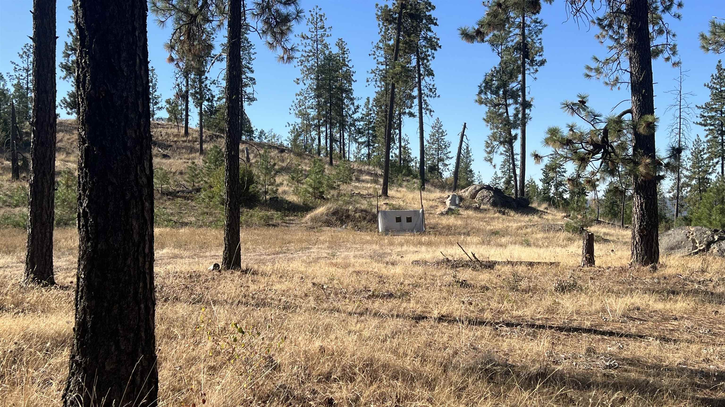NNA Corkscrew Canyon Rd - Photo 6