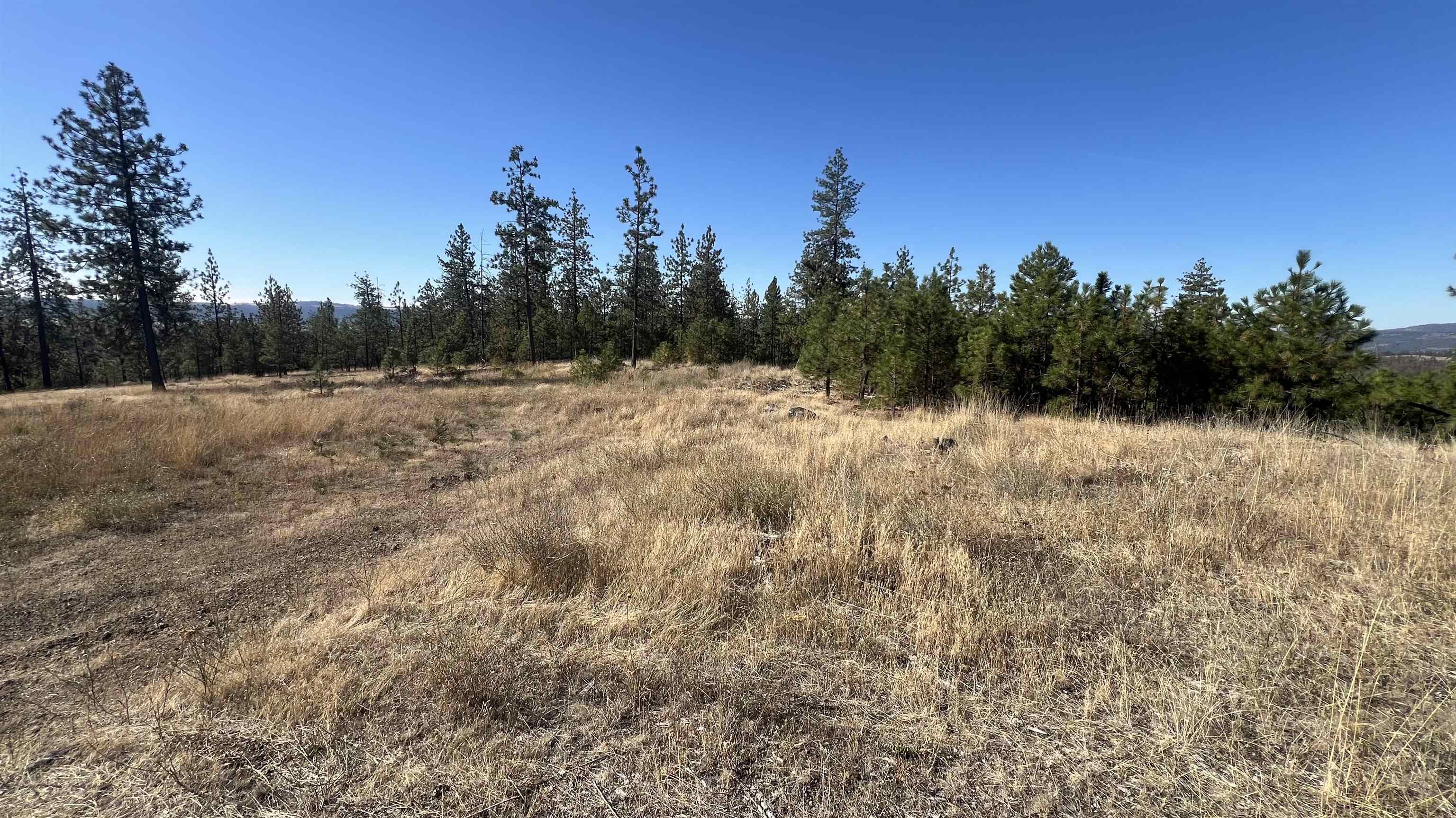 NNA Corkscrew Canyon Rd - Photo 8