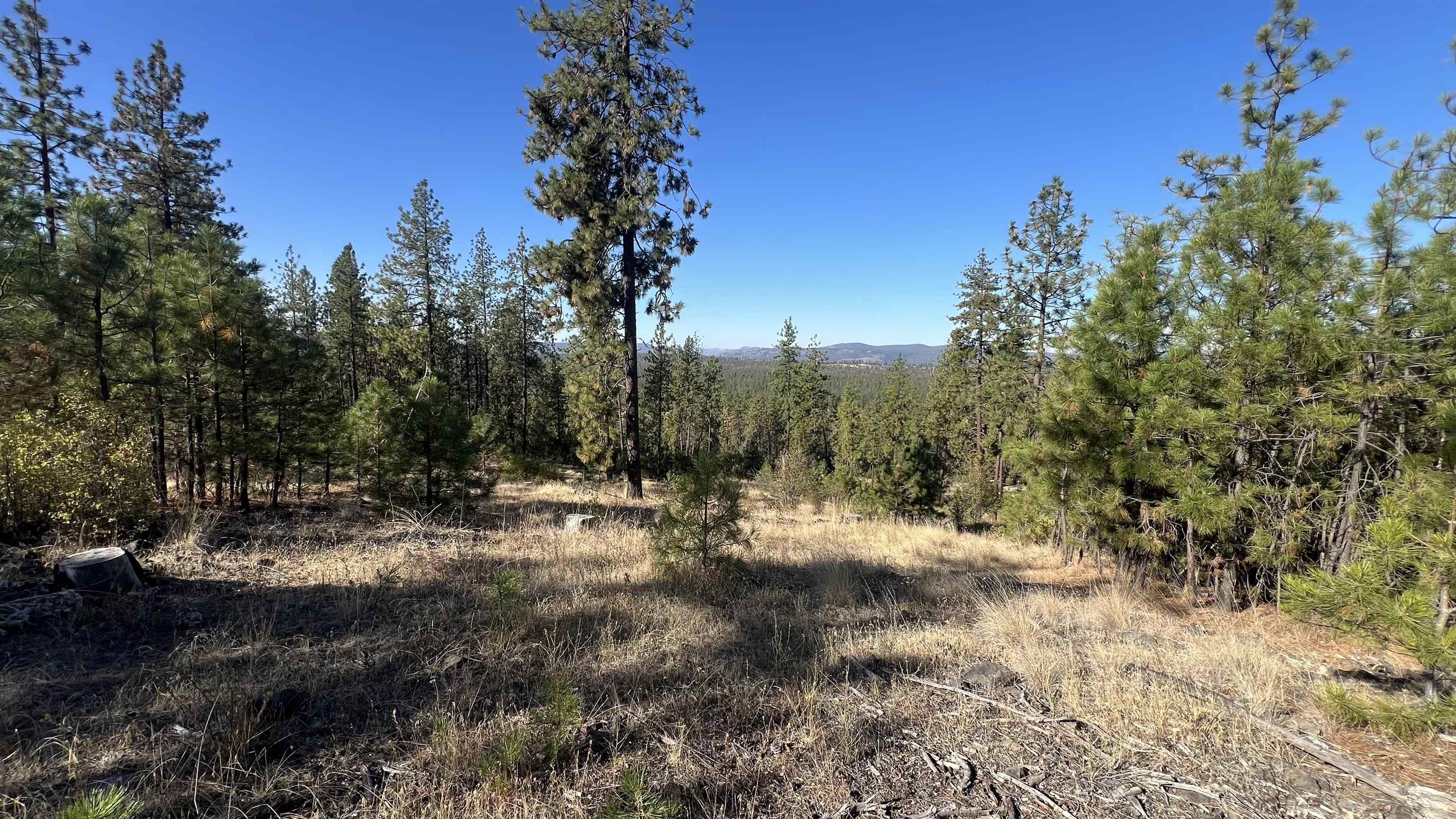 NNA Corkscrew Canyon Rd - Photo 10
