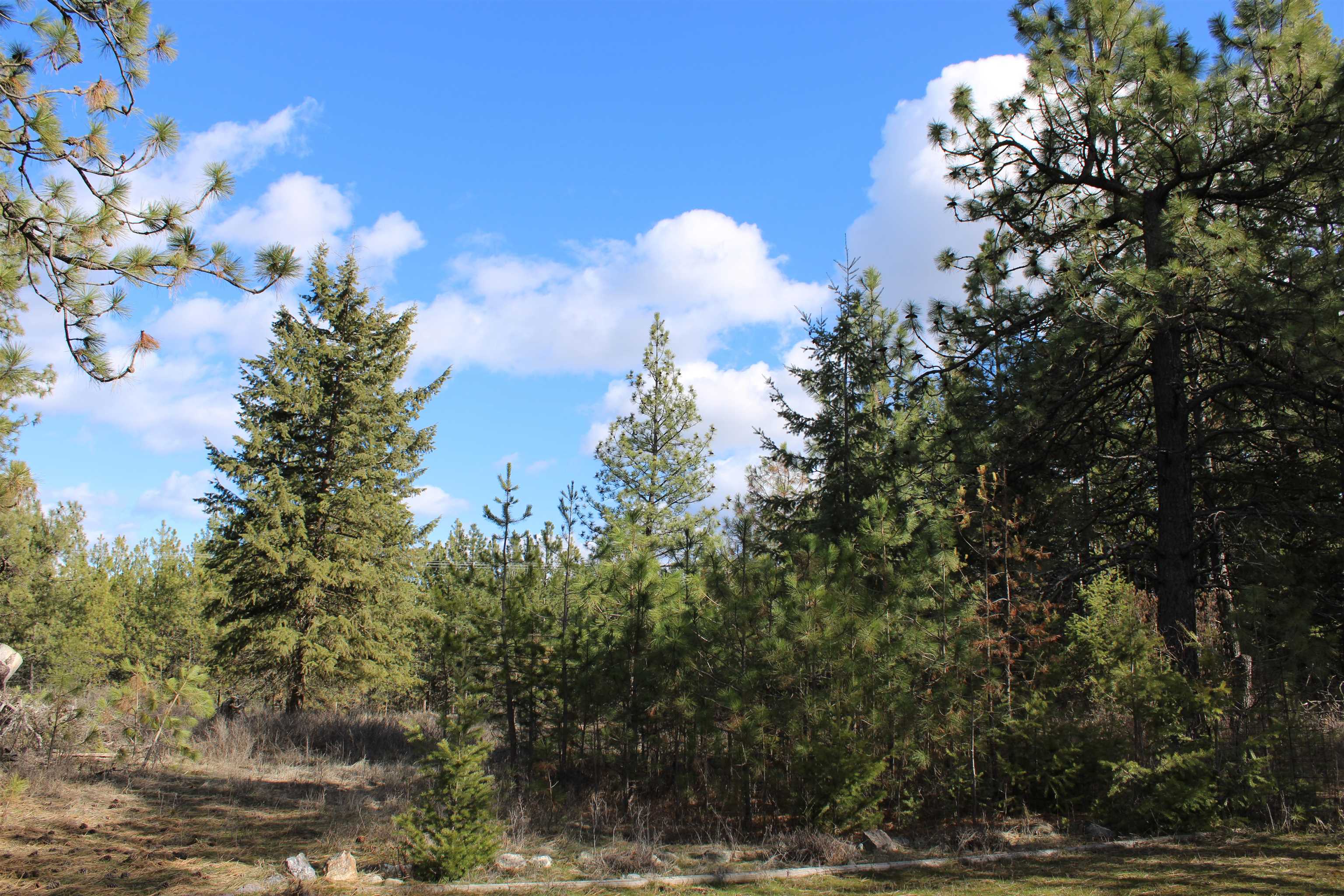 21 W Oregon Rd - Photo 16