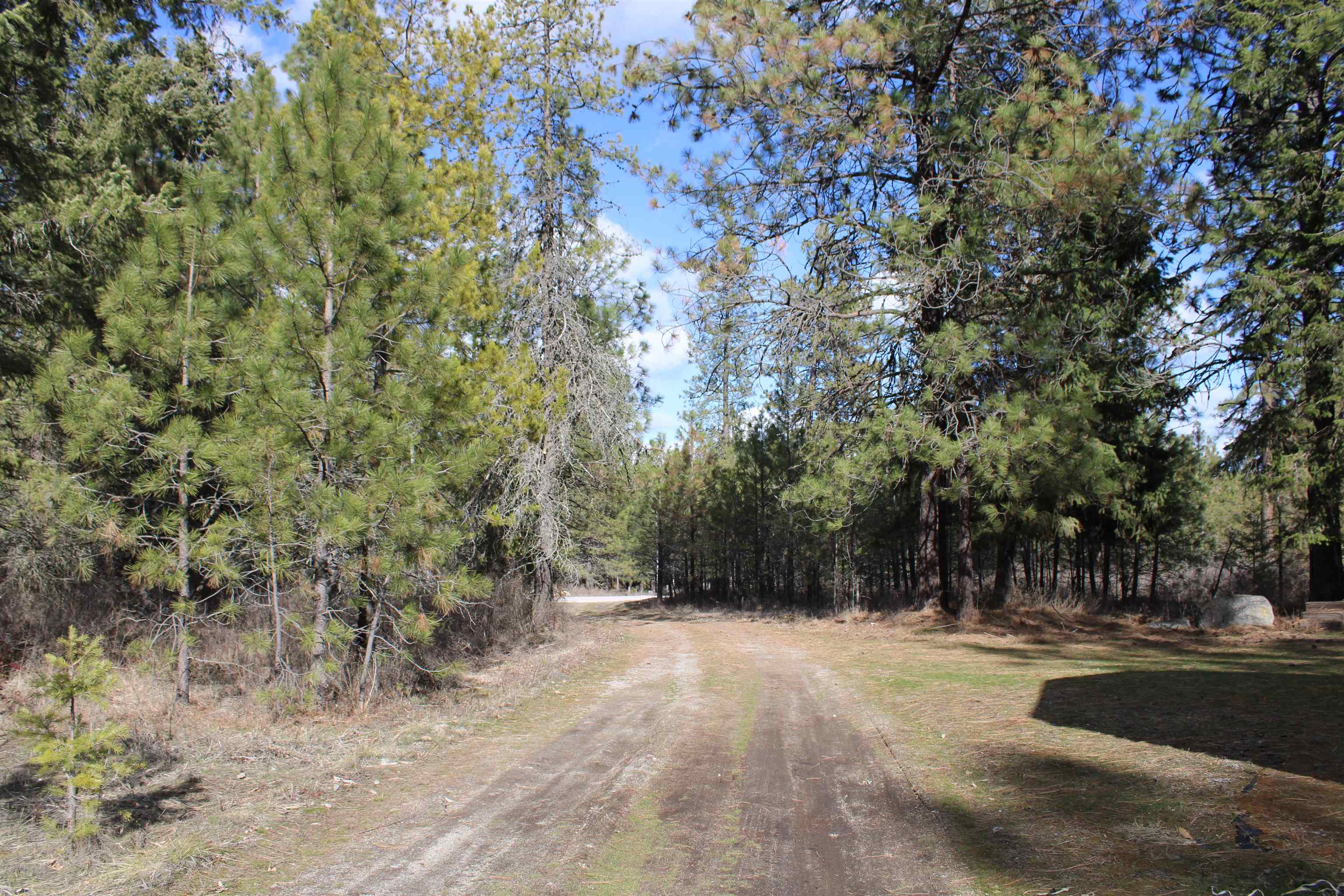 21 W Oregon Rd - Photo 17
