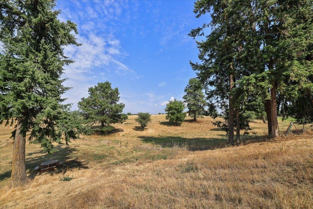 NKA N Day Mount Spokane Rd - Photo 13