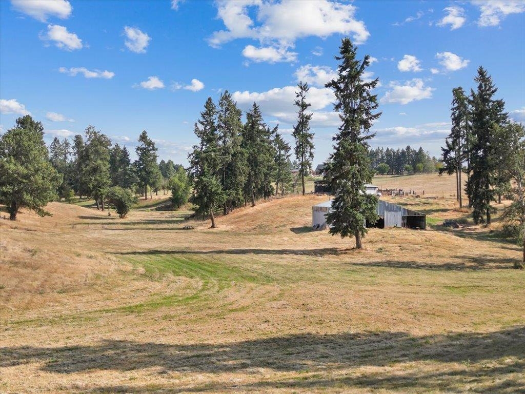 NKA N Day Mount Spokane Rd - Photo 14