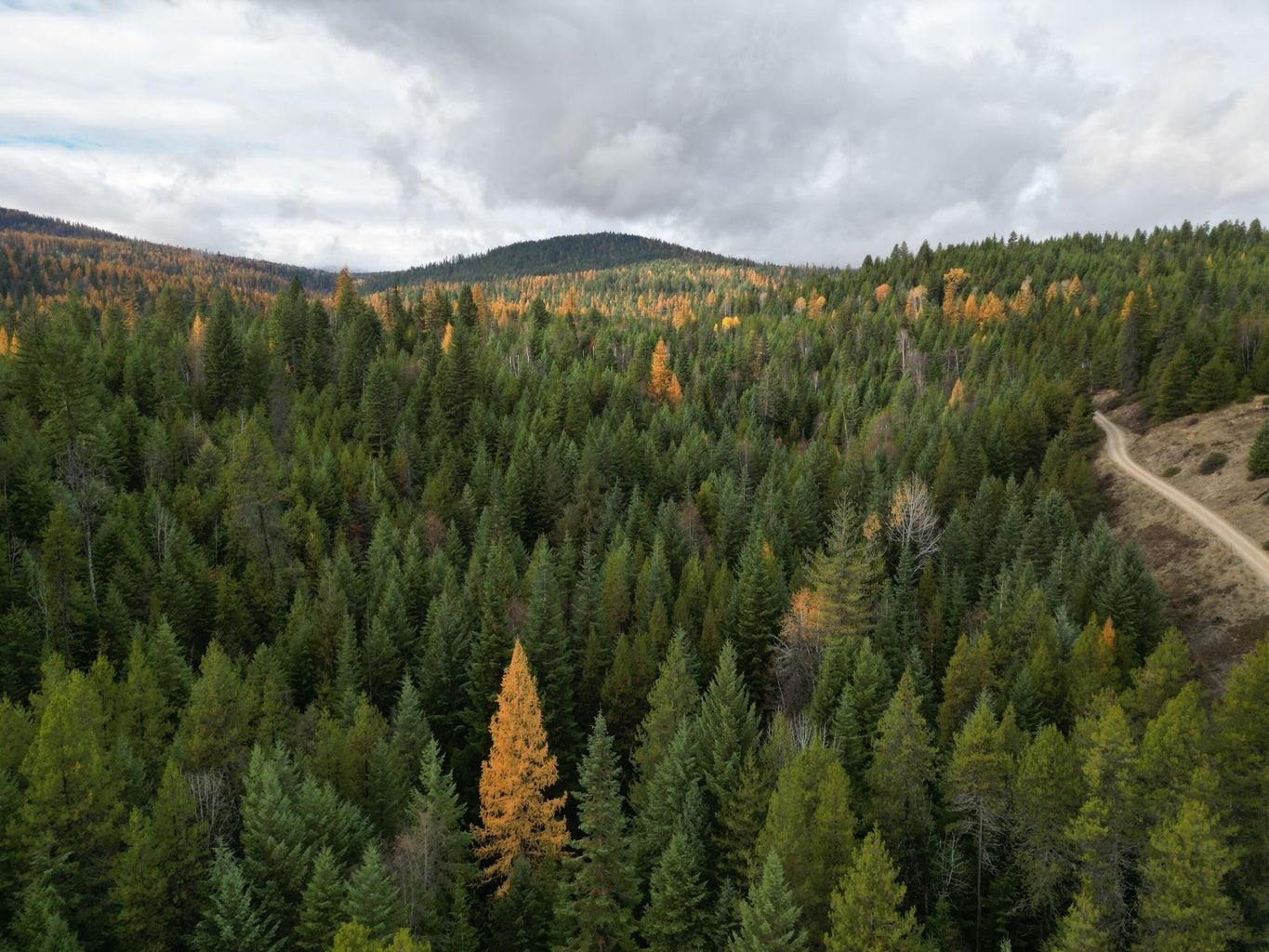 TBD Schlegel Ranch Rd - Photo 1