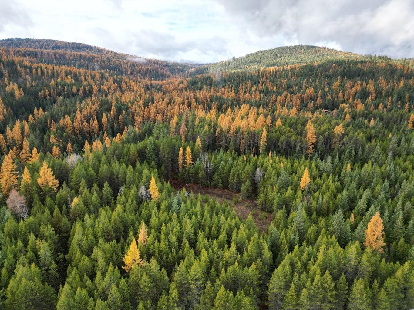 TBD Schlegel Ranch Rd - Photo 3