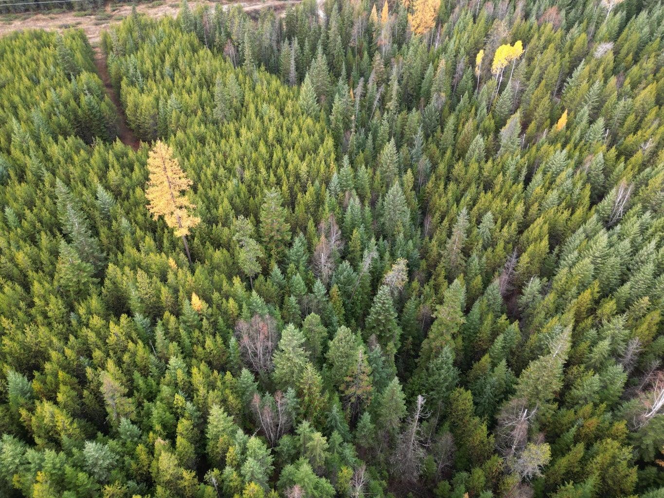 TBD Schlegel Ranch Rd - Photo 7
