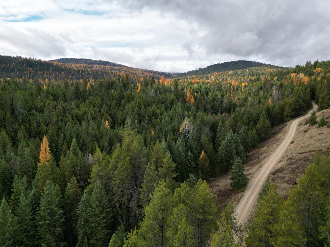 TBD Schlegel Ranch Rd - Photo 8