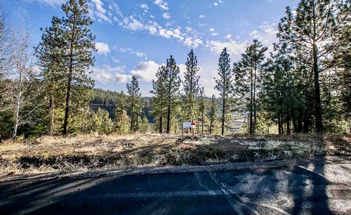 2410 E Hangman Creek Ln - Photo 1