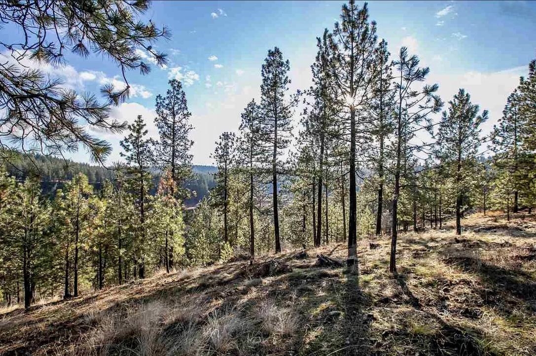 2410 E Hangman Creek Ln - Photo 12