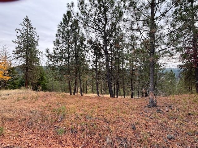2410 E Hangman Creek Ln - Photo 4