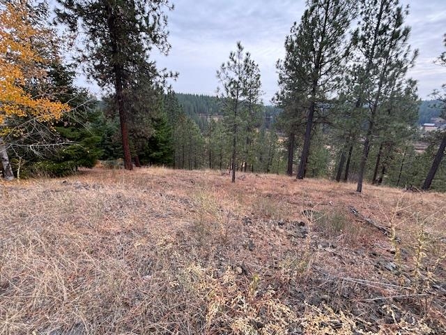 2410 E Hangman Creek Ln - Photo 5