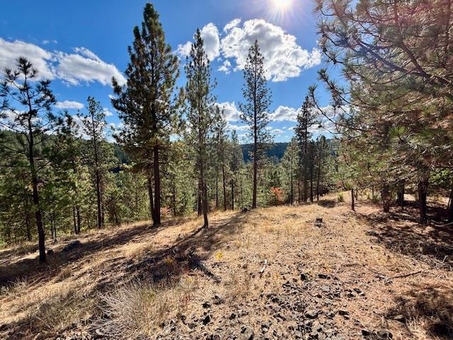 2410 E Hangman Creek Ln - Photo 6