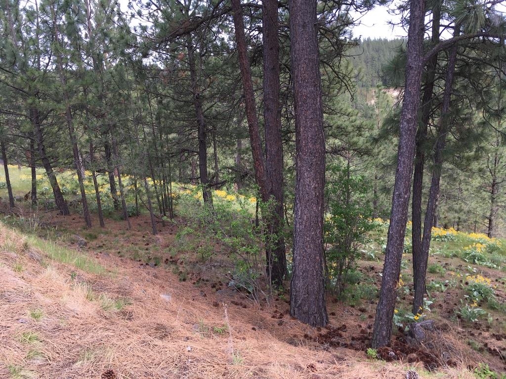 2410 E Hangman Creek Ln - Photo 7