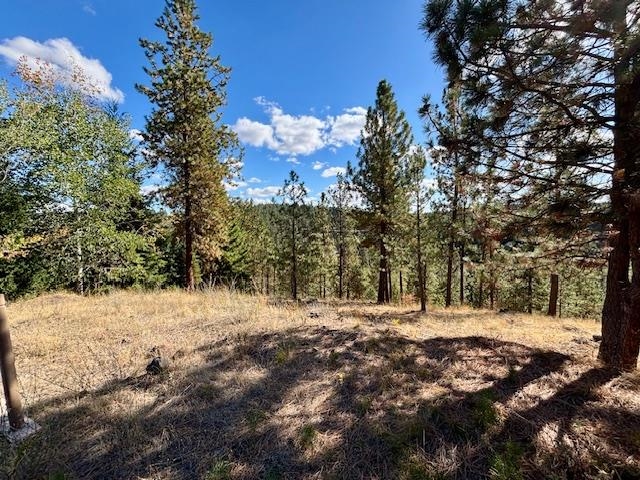 2410 E Hangman Creek Ln - Photo 8