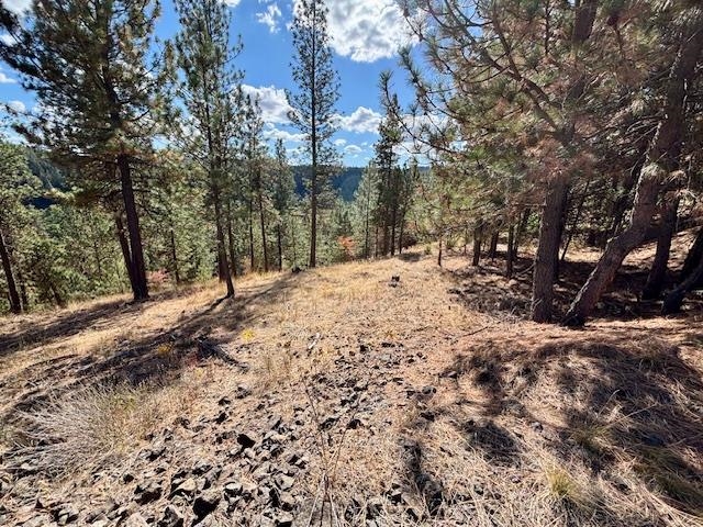 2410 E Hangman Creek Ln - Photo 10