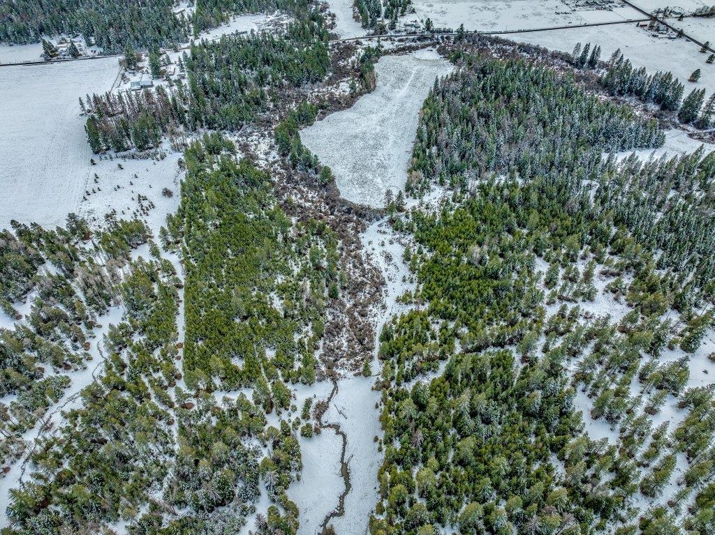 NNA W Bridges Rd - Photo 5