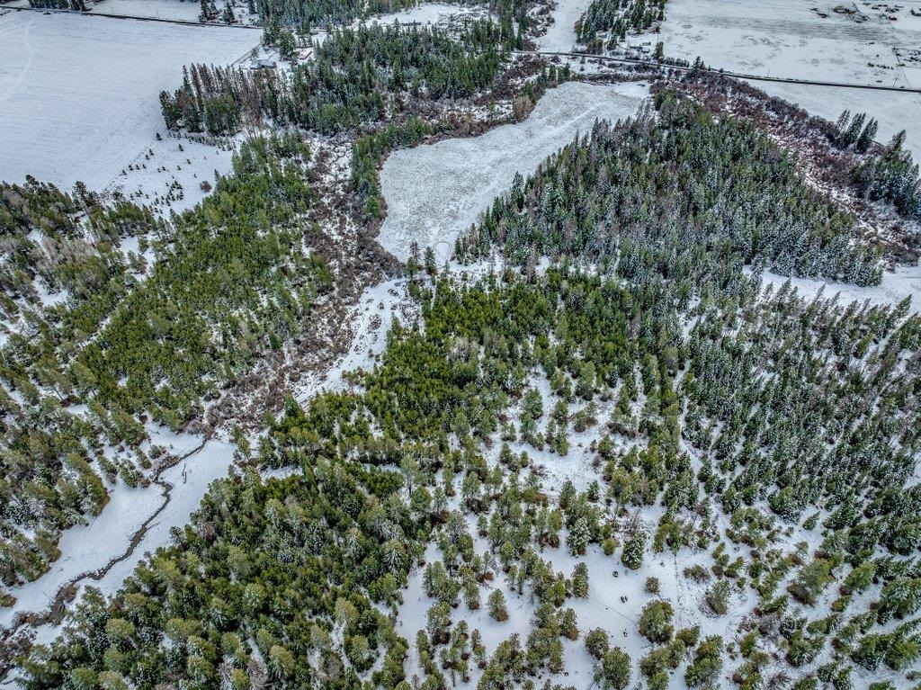 NNA W Bridges Rd - Photo 6