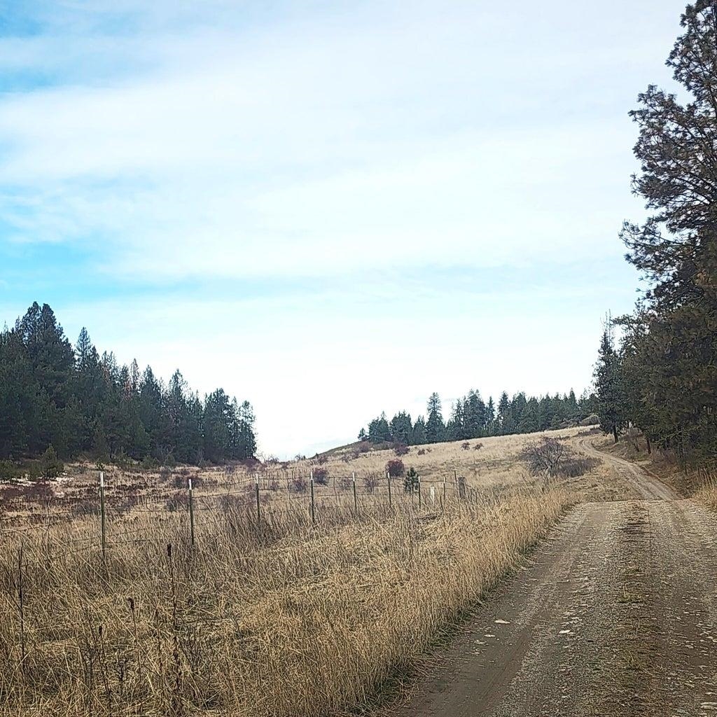 3390 F&G Spirit Ridge Way - Photo 16