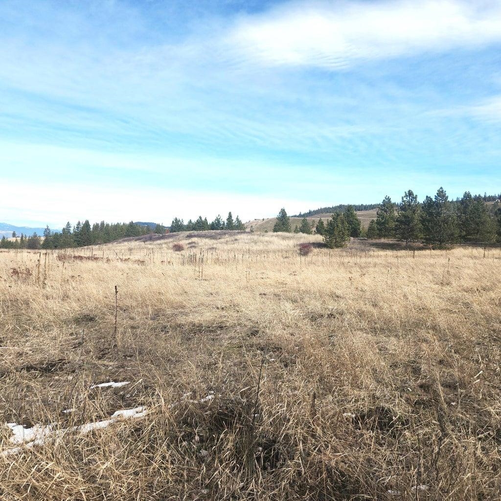 3390 F&G Spirit Ridge Way - Photo 20