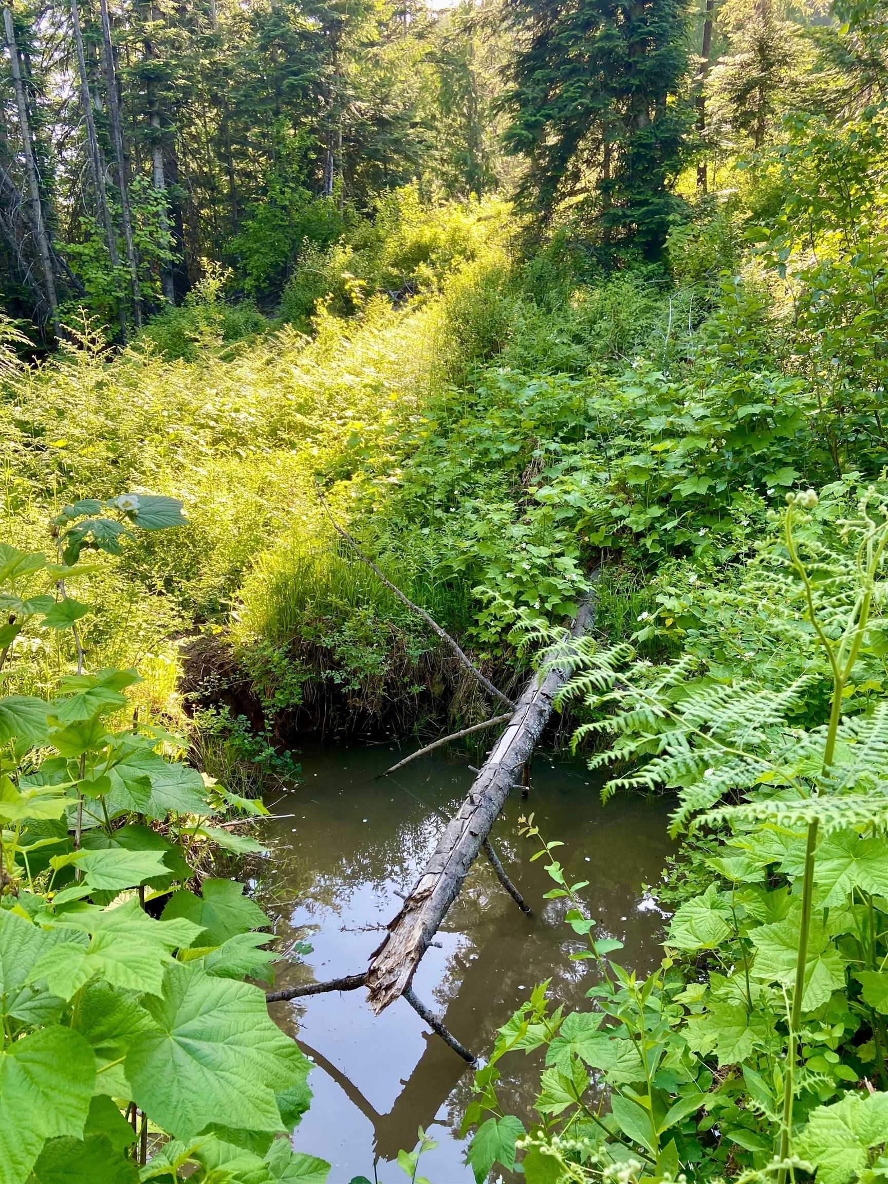 TBD Buck Creek Rd - Photo 26