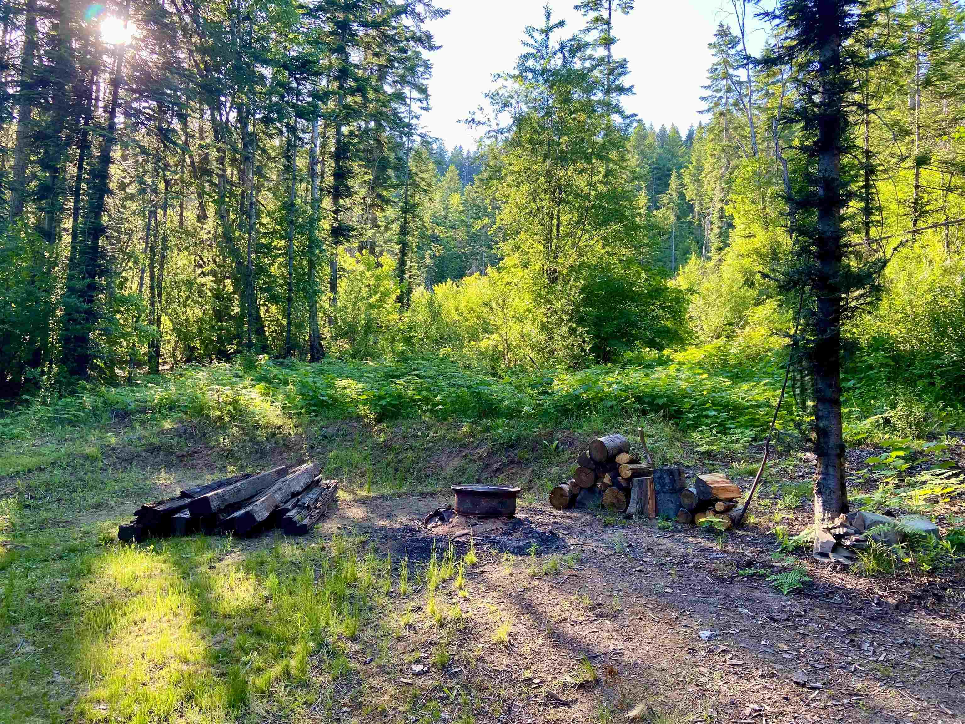 TBD Buck Creek Rd - Photo 30