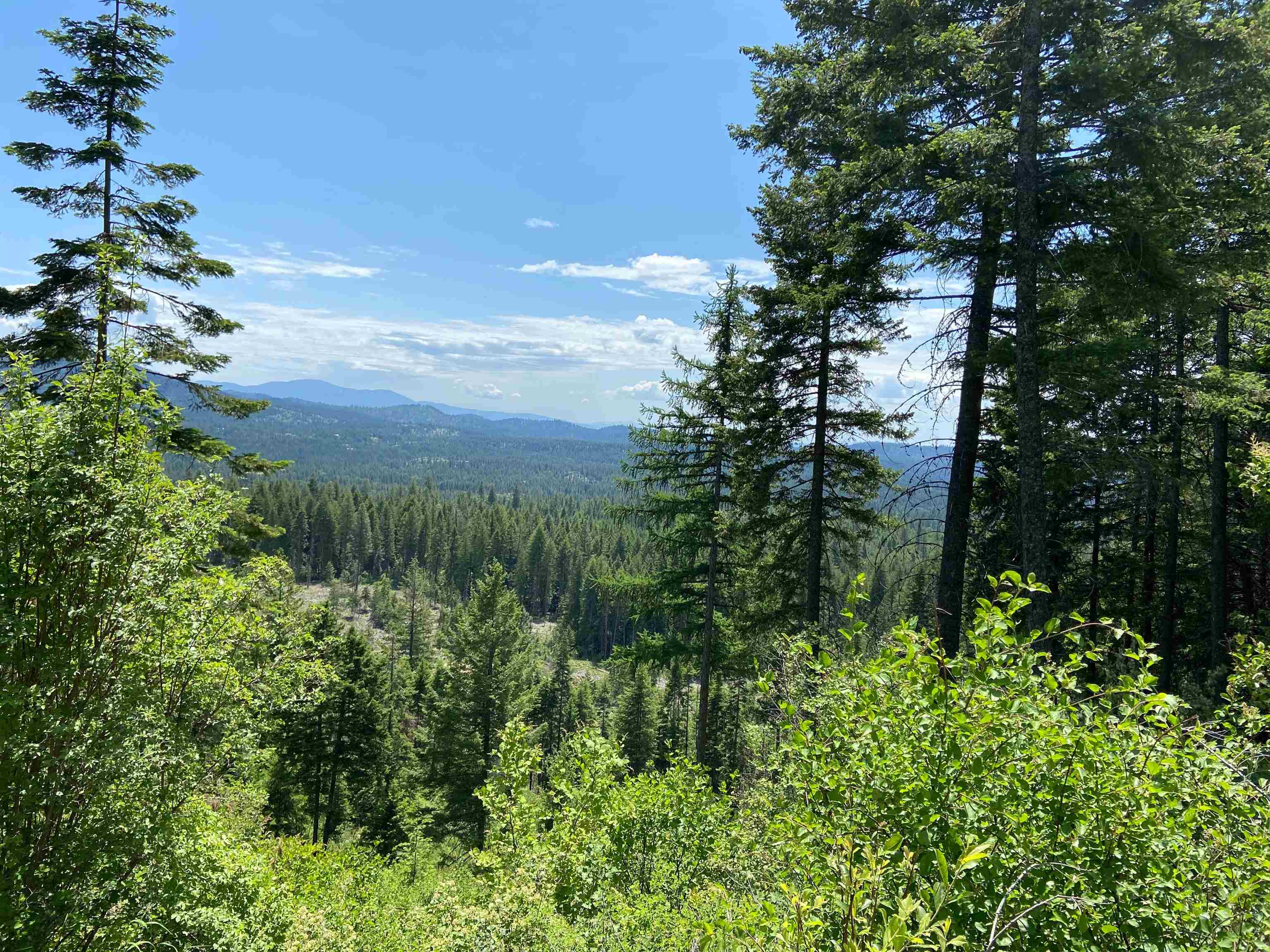 TBD Buck Creek Rd - Photo 31