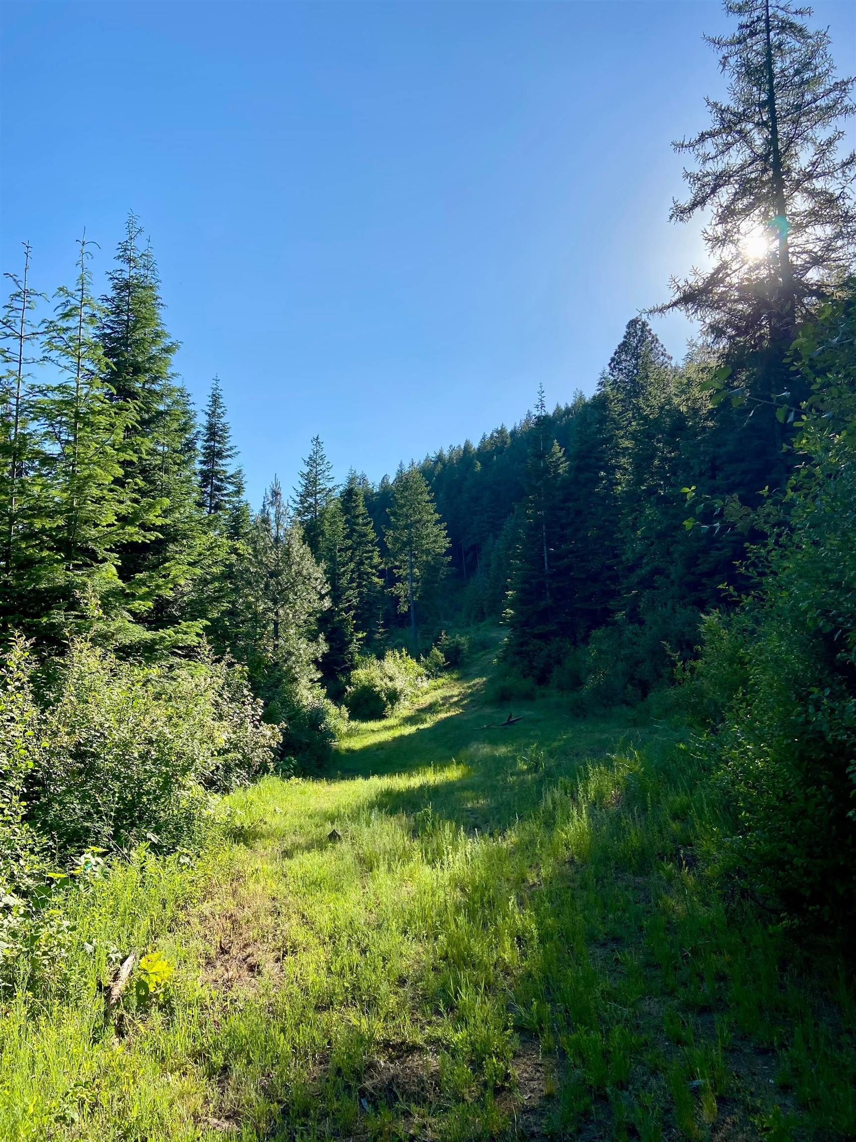 TBD Buck Creek Rd - Photo 32