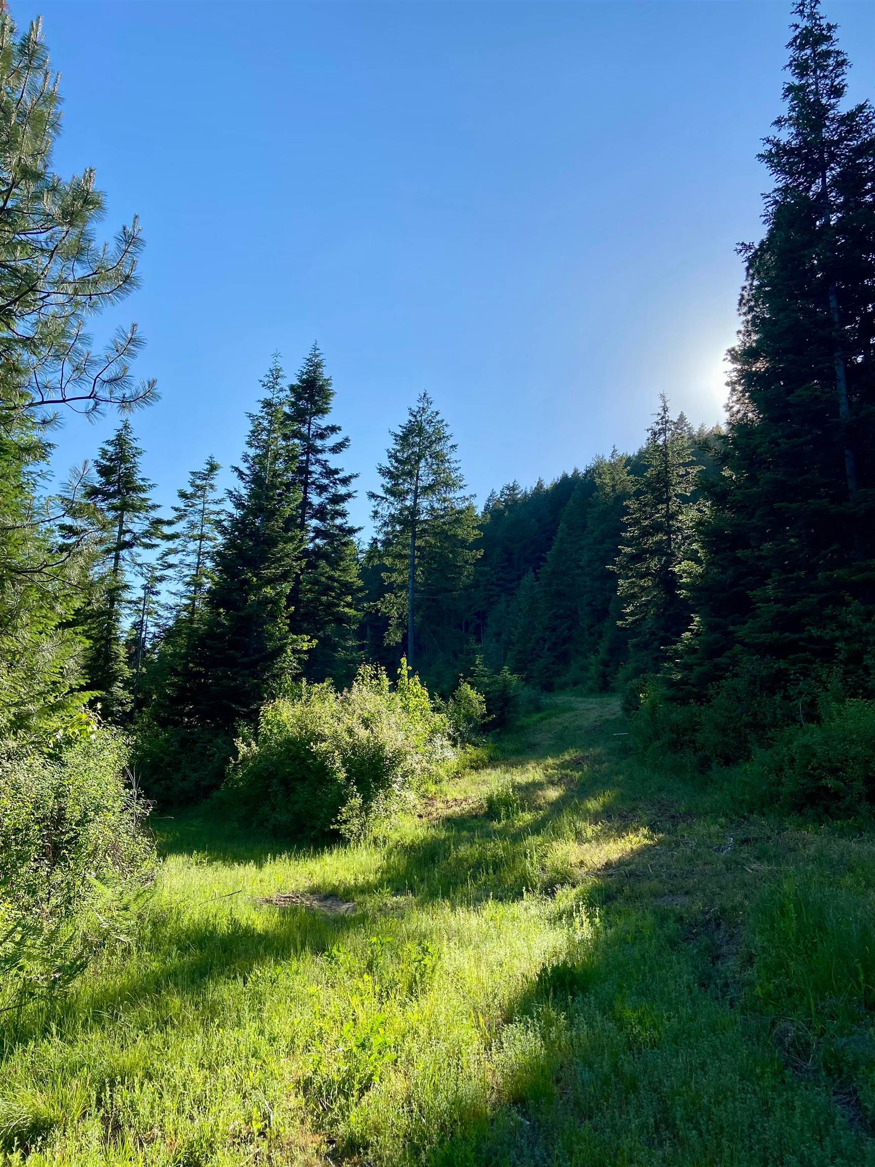 TBD Buck Creek Rd - Photo 33