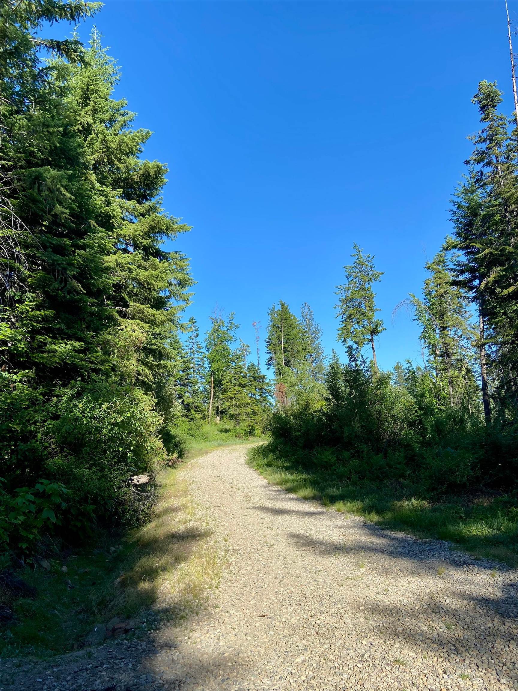 TBD Buck Creek Rd - Photo 34