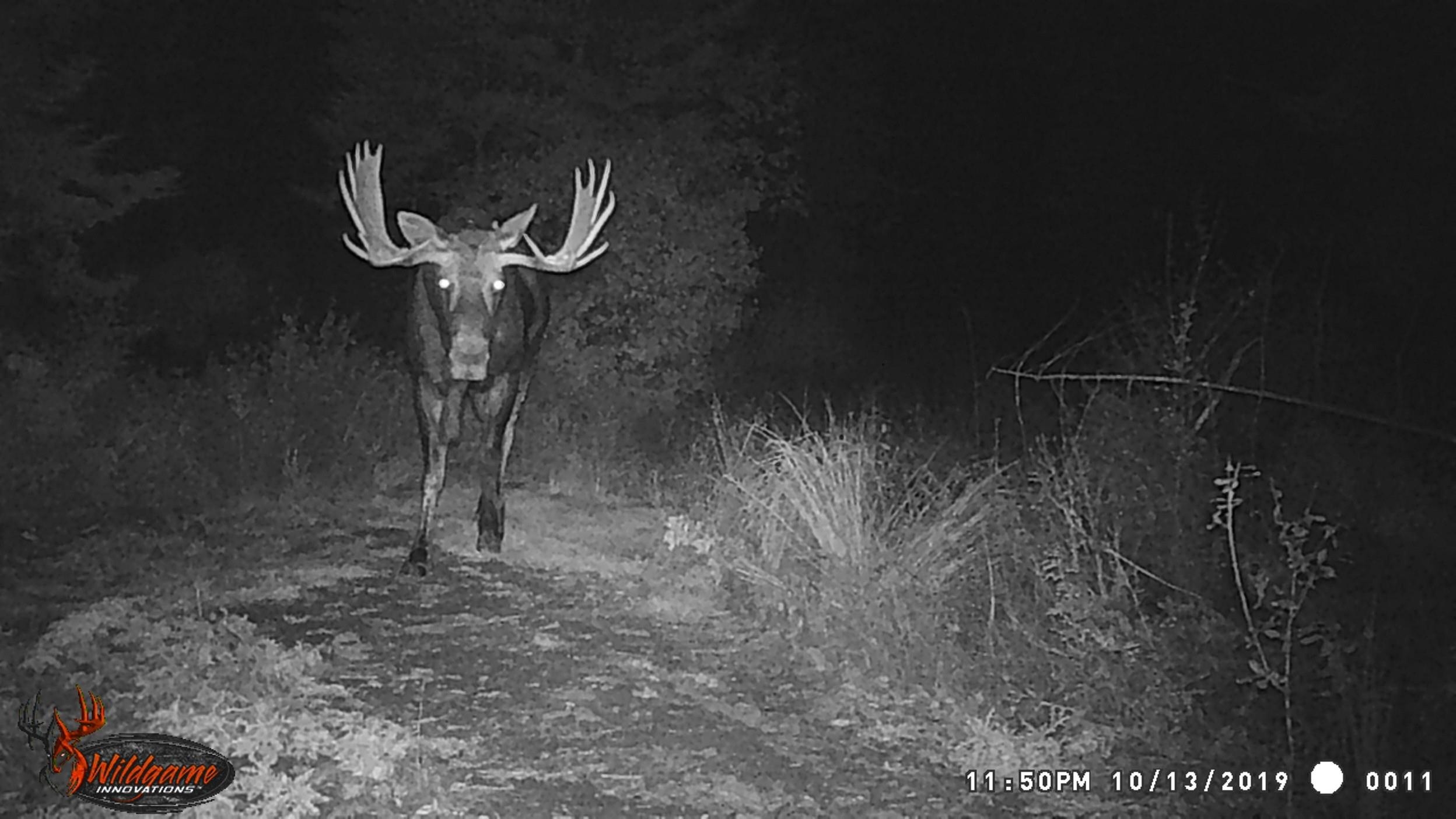 TBD Buck Creek Rd - Photo 36