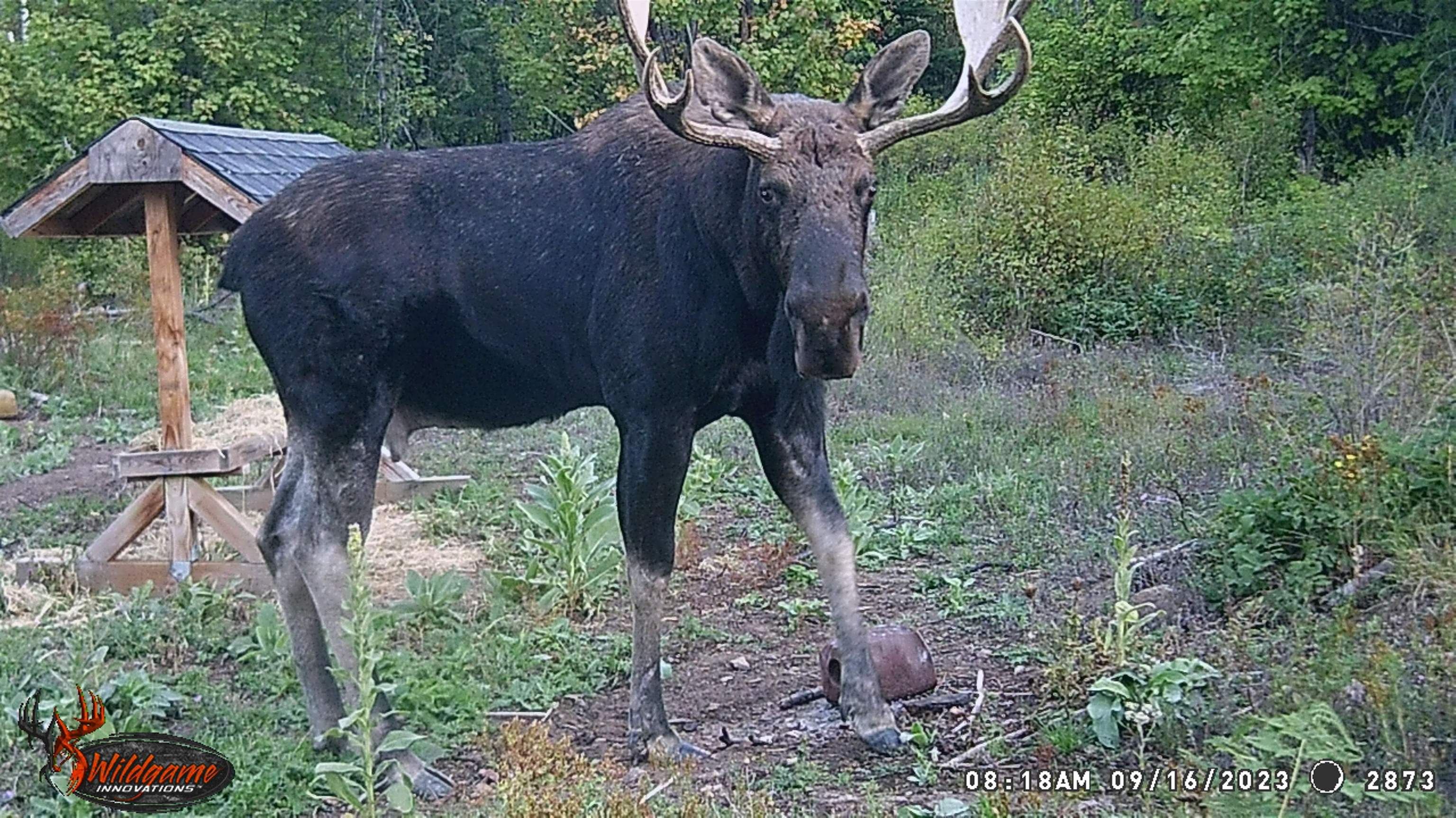 TBD Buck Creek Rd - Photo 37