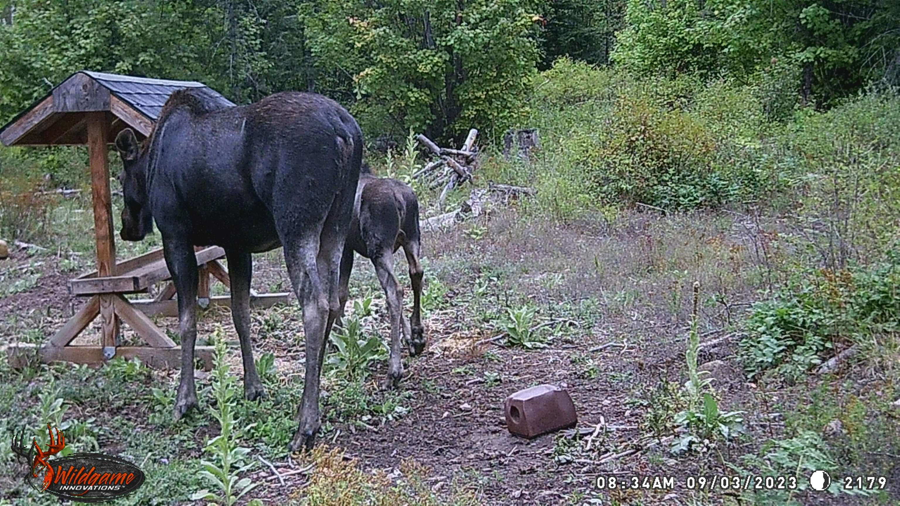 TBD Buck Creek Rd - Photo 38