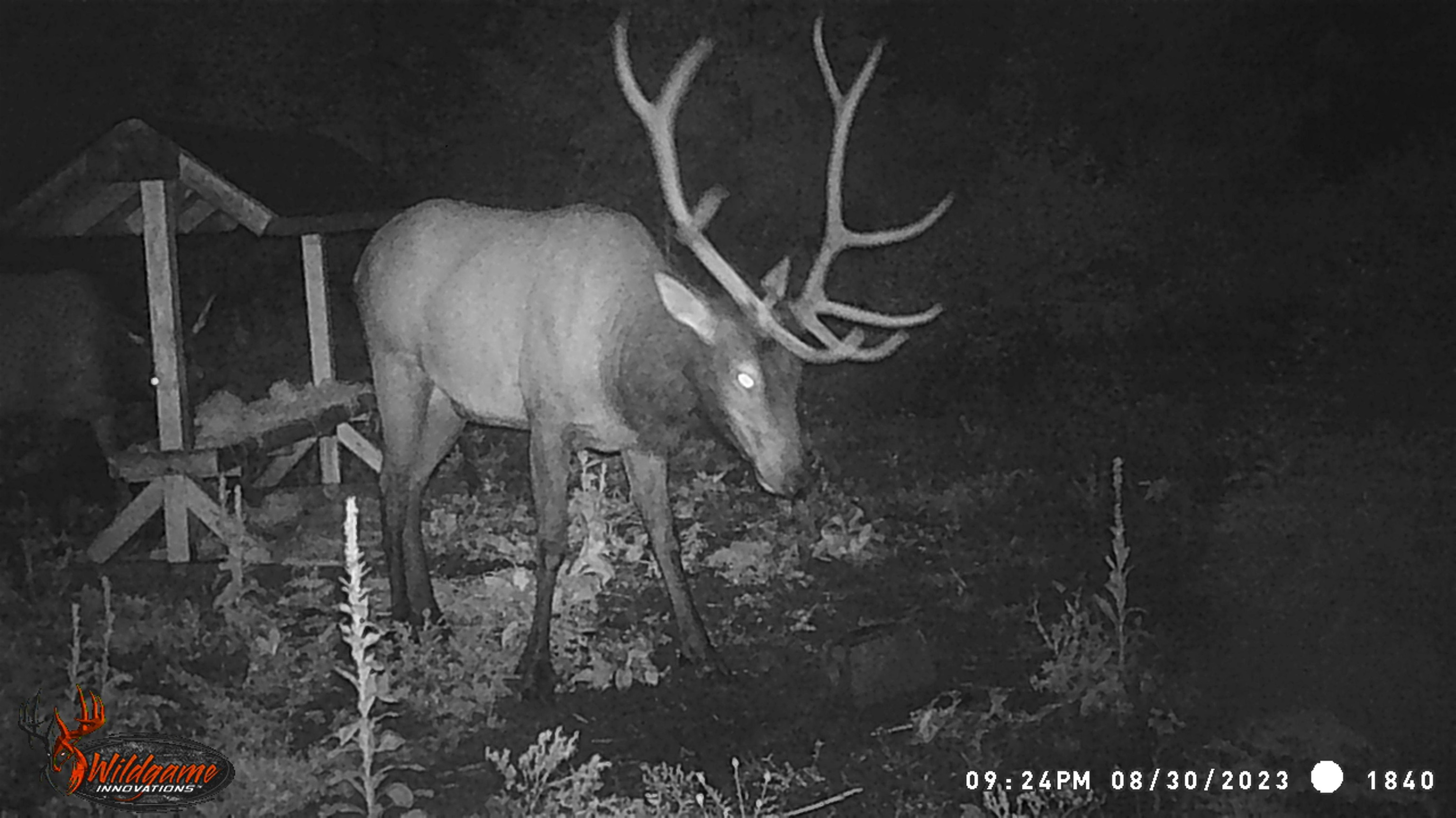 TBD Buck Creek Rd - Photo 39