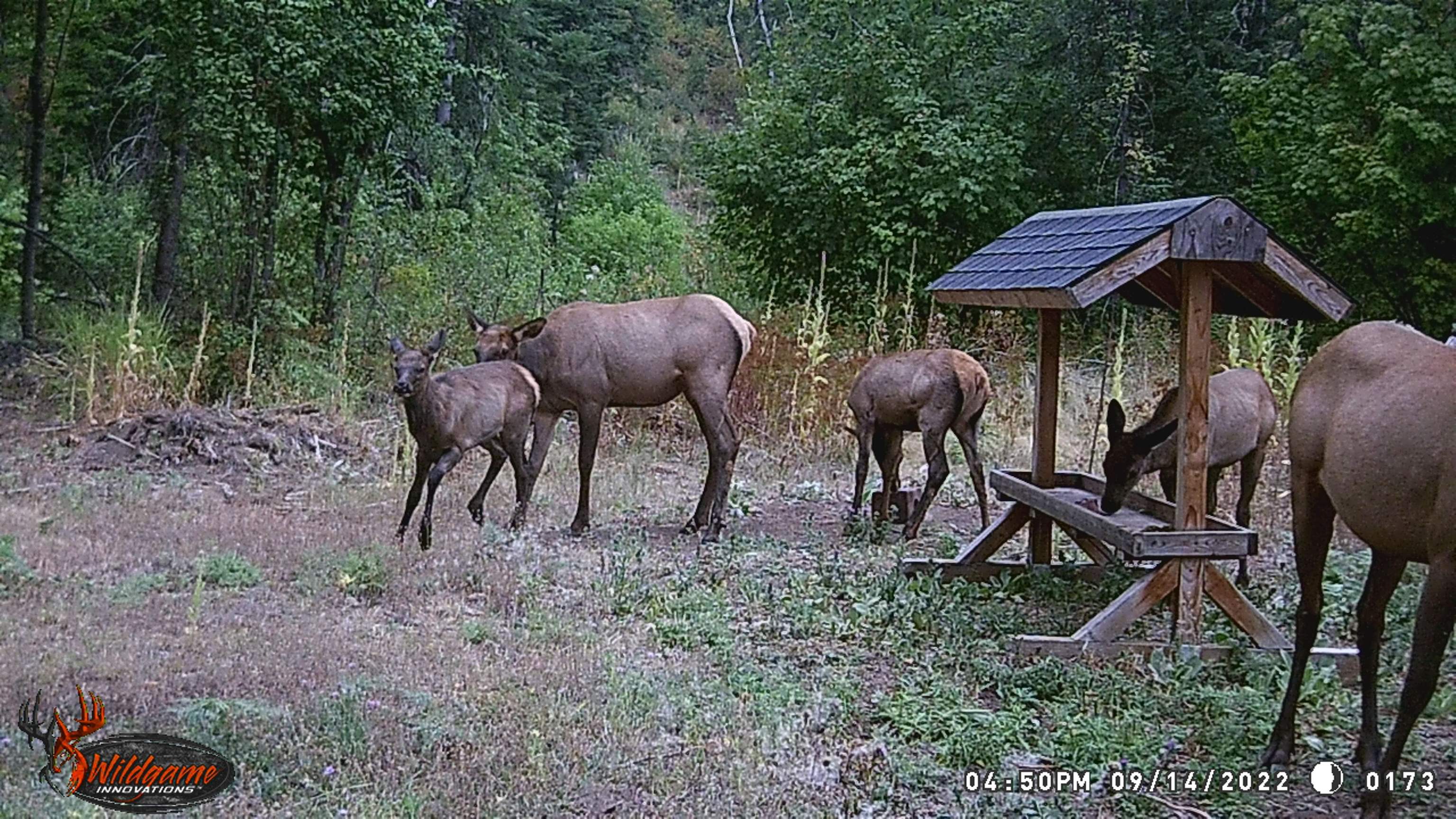 TBD Buck Creek Rd - Photo 40